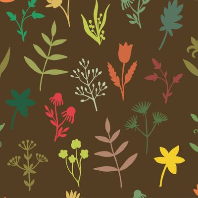 Лесные лекарственные веточки, листики, цветы. Botanical silhouettes of plants.