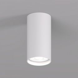 Накладной светильник Denkirs DK2008 DK2008-WH