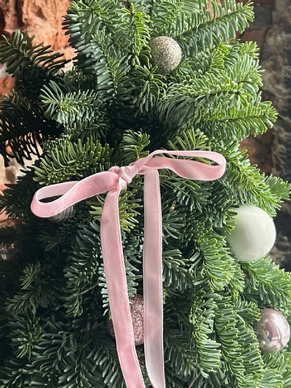 Елка из нобилиса h-55