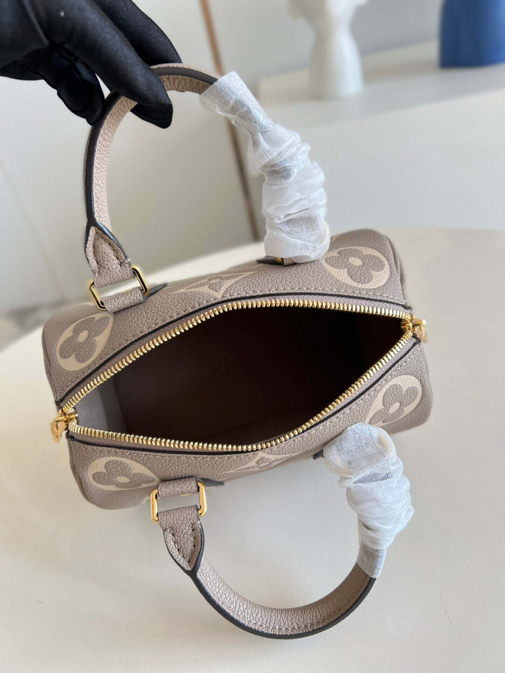 Louis Vuitton Speedy 20