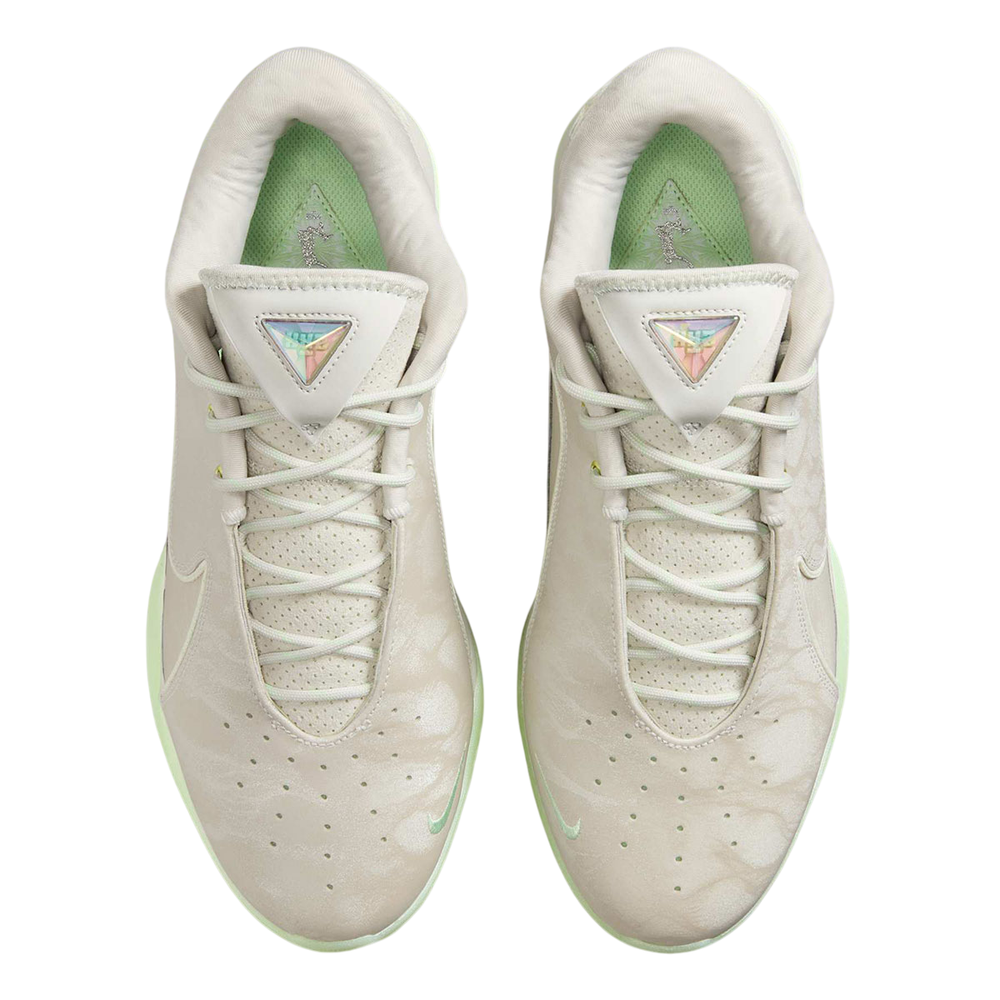 Заказать LeBron 22 Dunkman