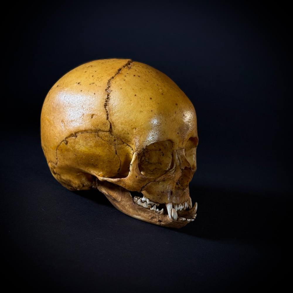 Маленький монстр