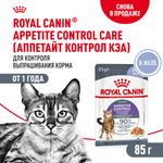 Royal Canin Appetite Control Care Аппетайт Контроль Кэа Корм влажный для взрослых кошек желе 85г