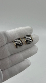 Серьги биколор