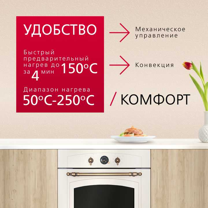 Духовой шкаф Hansa BOEW68269