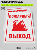 Табличка для обеспечения безопасности "Пожарный выход", для офиса, по охране труда для предприятия, организаций, 40х30 см, Silver Plane x Айдентика Технолоджи