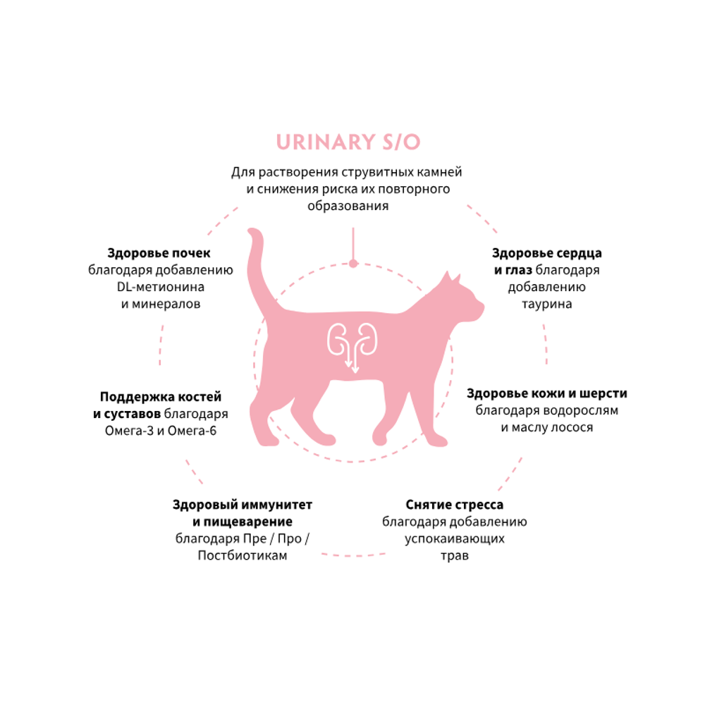 Сухой диетический корм GRANDORF VETERINARY DIET Cat URINARY S/O для кошек при мочекаменной болезни Сухой диетический корм GRANDORF VETERINARY DIET Cat URINARY S/O для кошек при мочекаменной болезни