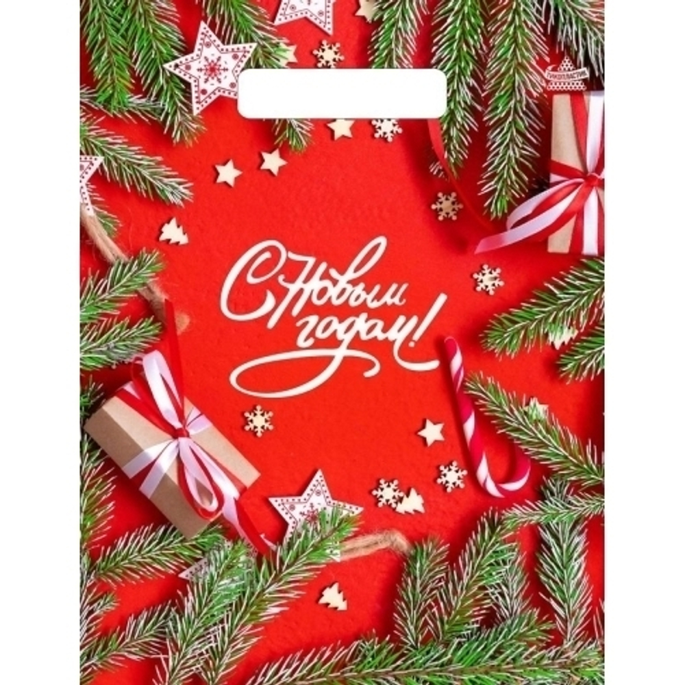 Пакет ПЭ с вырубной неусиленной ручкой 23х30см (30) (Цвет Нового года) НГ Тико