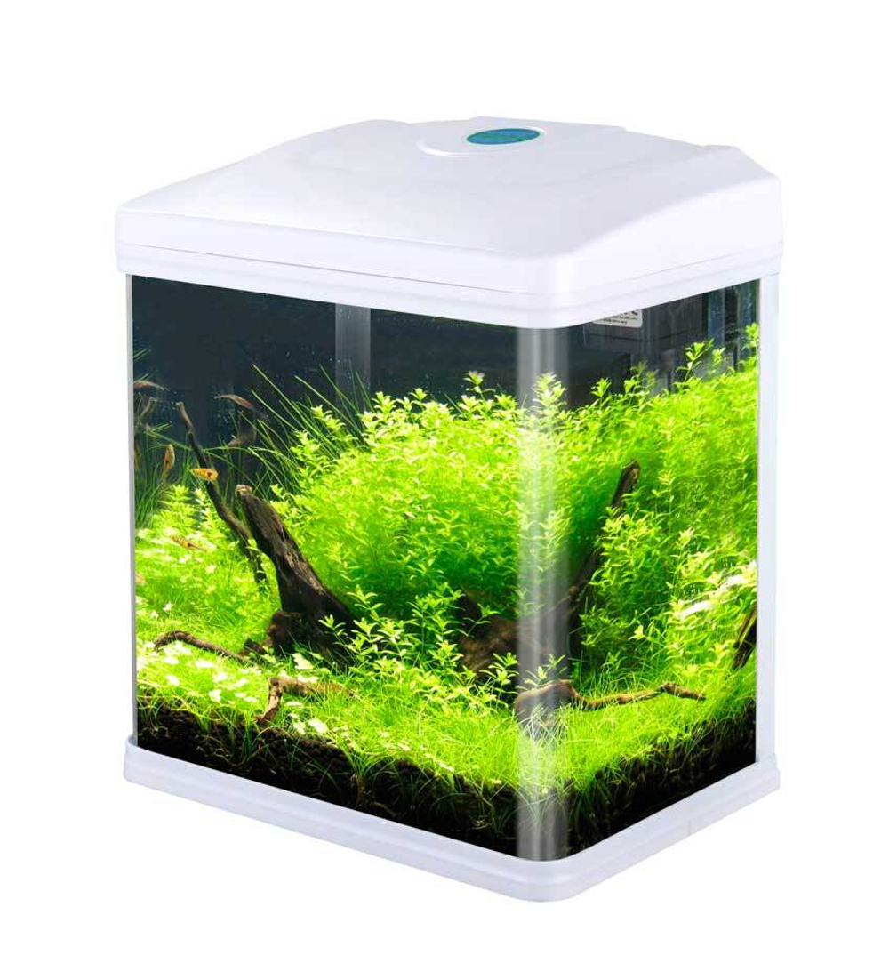 Аквариум (LED + top Filtr) ГОЛУБОЙ 9л