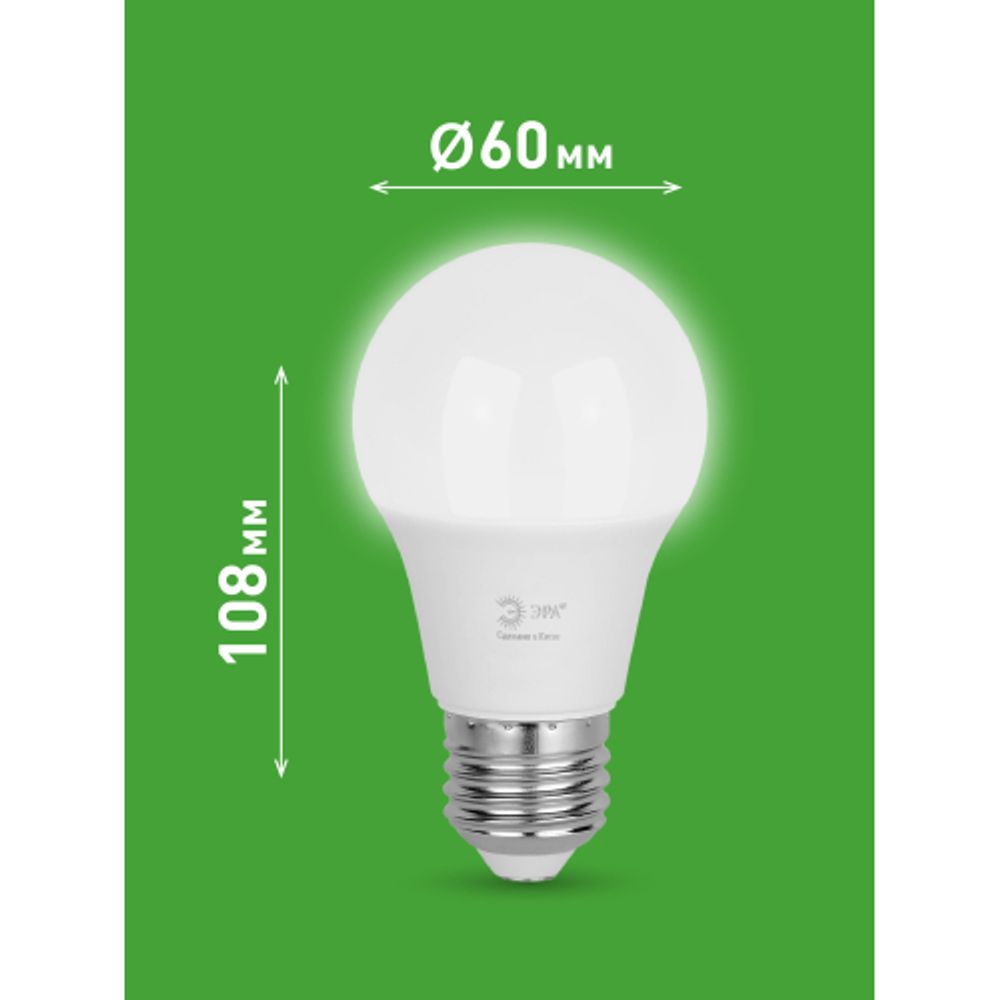 Лампа светодиодная ЭРА GREEN LINE LED A60-10W-840-E27 GL 10Вт груша яркий белый свет E27