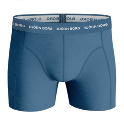 Боксерки теннисные Bjorn Borg Shorts Sammy BB Fourflower 3P - skyway