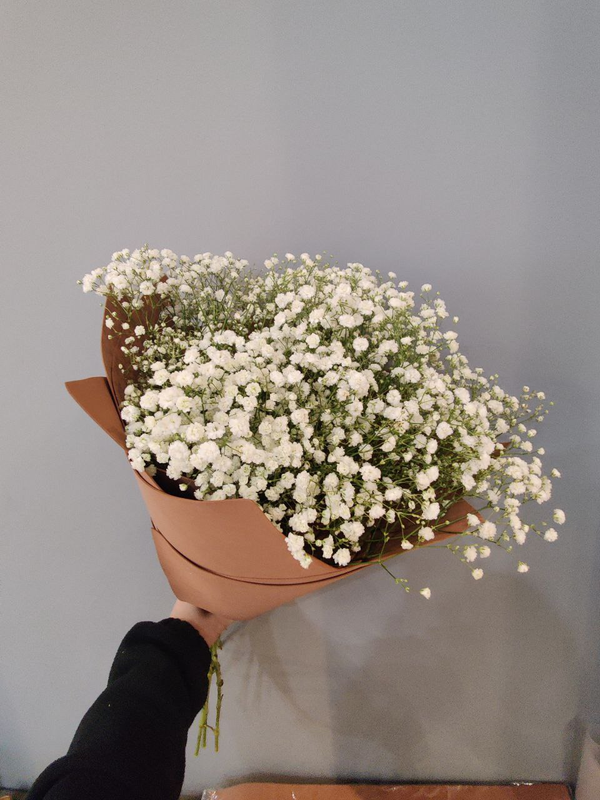 Букет из белой гипсофилы (13 шт) Букет из белой гипсофилы (13 шт)