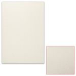 Картон белый грунтованный для масляной живописи, 50х70 см, односторонний, толщина 0,9 мм, масляный грунт