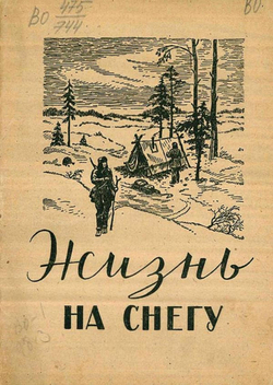 Жизнь на снегу | Нет автора
