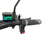 Электроскутер CITYCOCO X7 Pro TRIKE Черный глянец