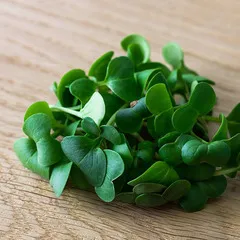 Дайкон на корне (лоток) / 40 гр