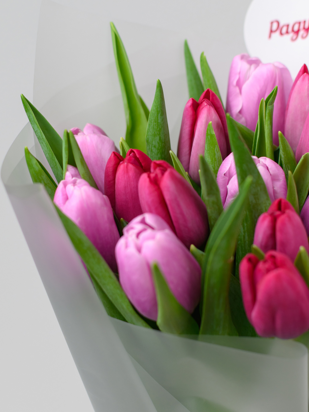 Тюльпаны микс