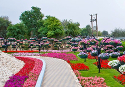 Цветочница Каштан-2.5