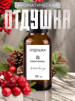 Отдушка для свечей и мыла парфюмерная Зимняя ягода