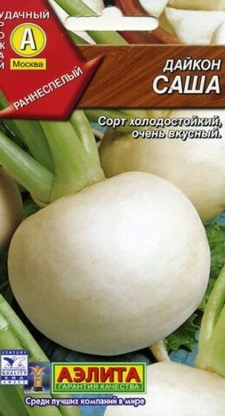 Дайкон Саша 1гр Аэлита