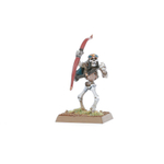 Warhammer The Old World - Skeleton Warriors