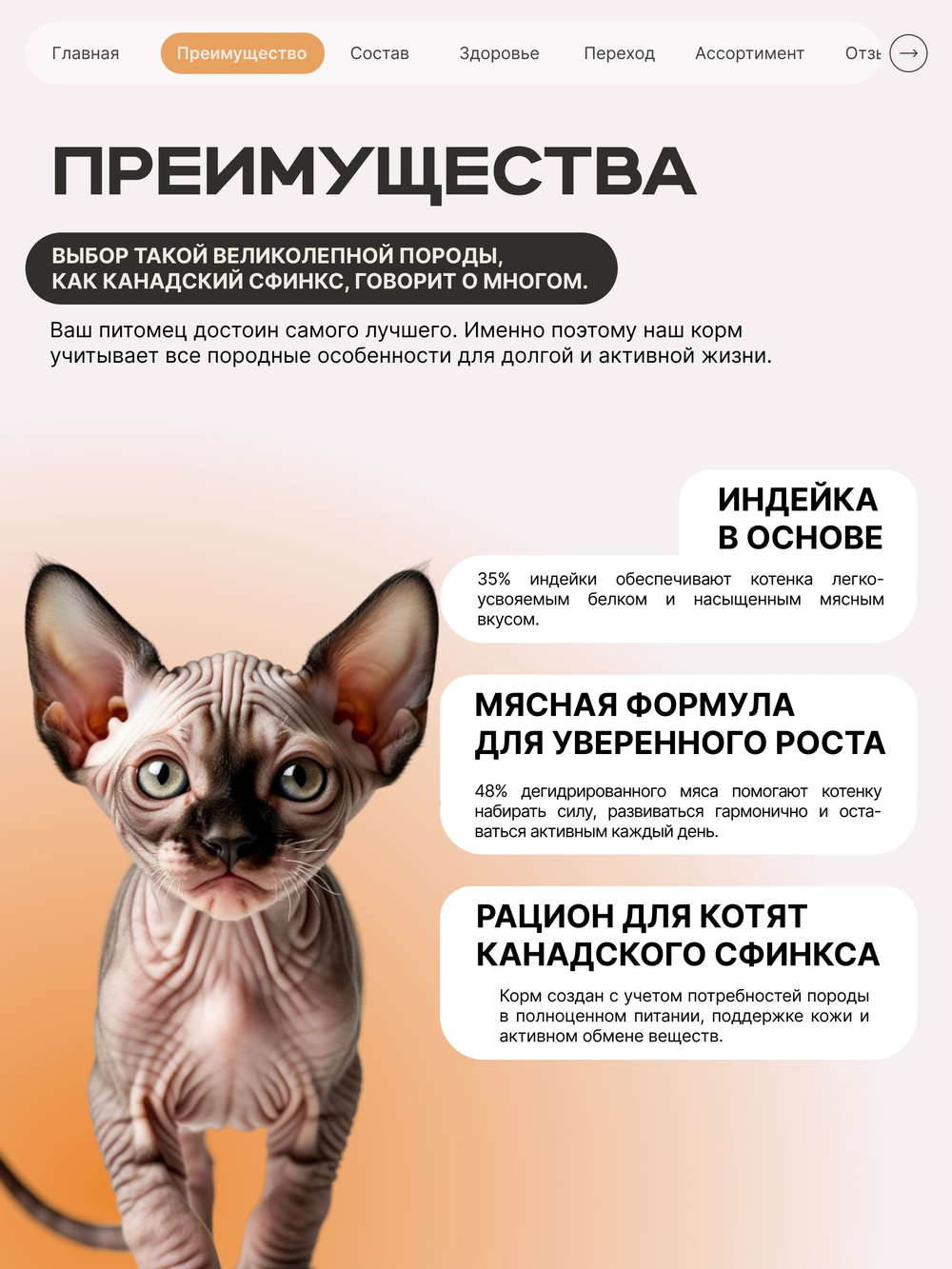 Корм сухой для котят породы Канадский сфинкс, с индейкой, 2 кг, QUATTRO