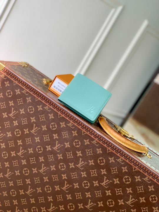 Louis Vuitton Multiple Wallet