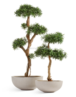 Кашпо TREEZ Effectory - Beton - Низкая чаша - Белый песок