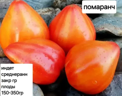 ПОМАРАНЧ