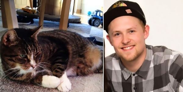 Пропавший кот вернулся к хозяину спустя 9 лет