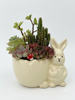 Gemini_Generated_Image_nomfenomfenomfen