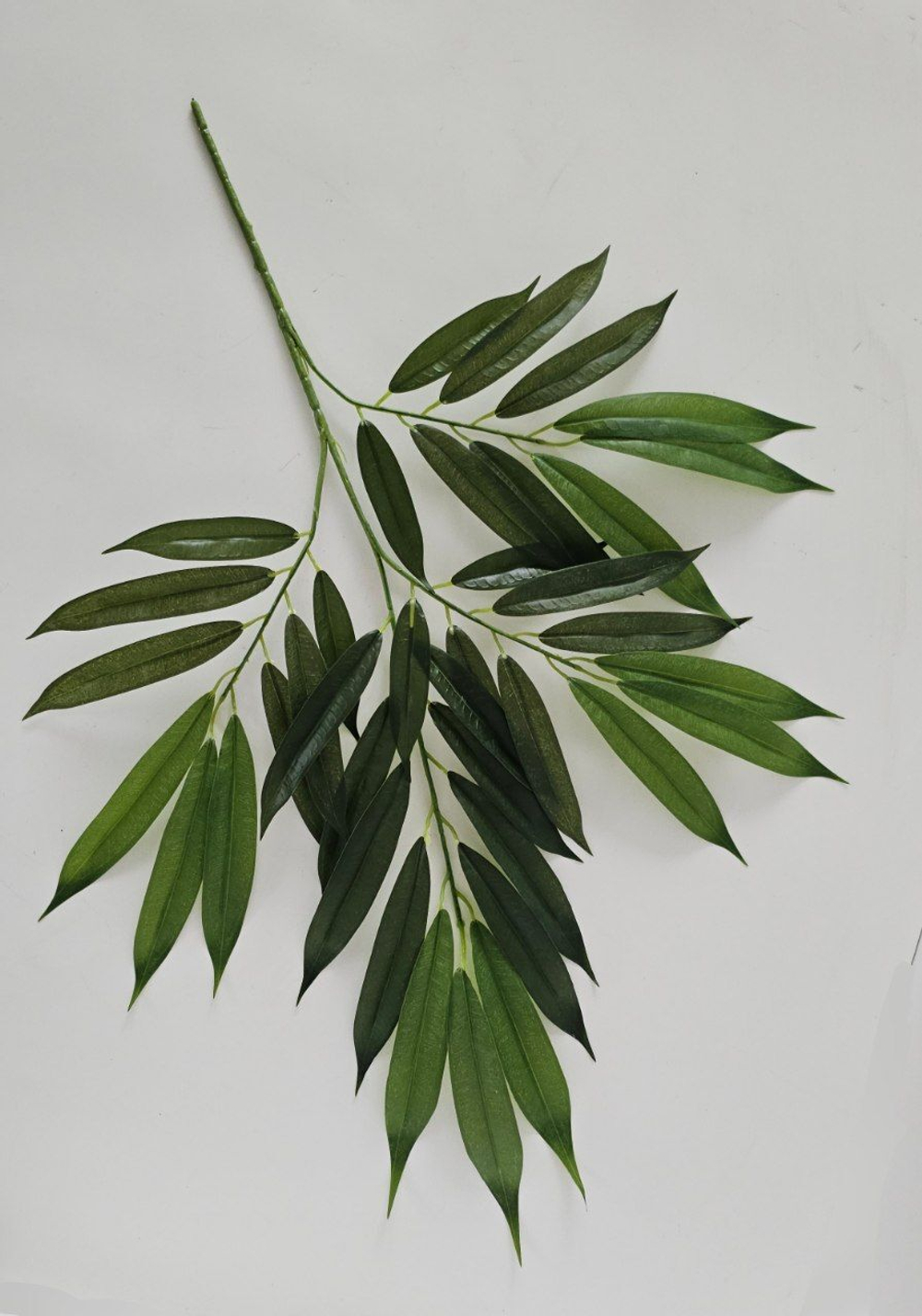 Лонгифолия 4 ответвления зеленая / Арт 1035