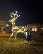 Полигональный светодиодный "Олень золотой" 4 м