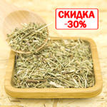 Мелисса (трава)