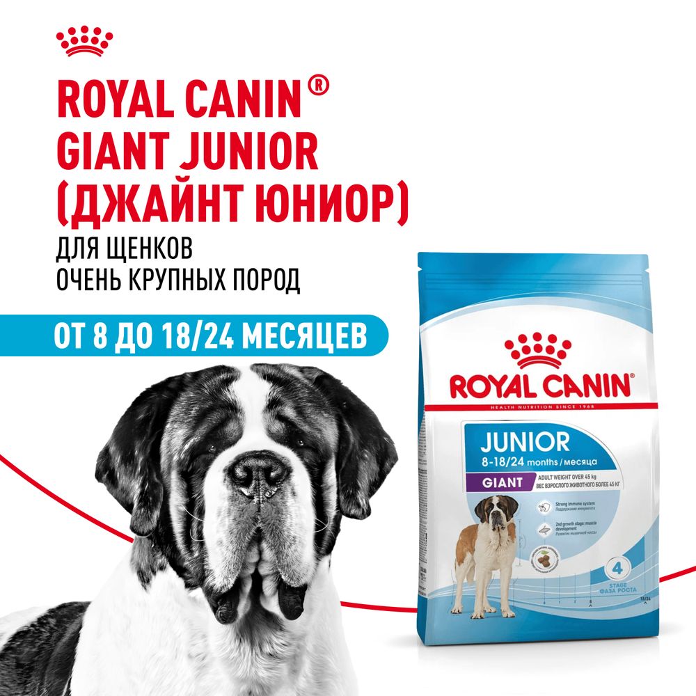 Сухой корм Royal Canin Giant Junior для щенков очень крупных пород в возрасте от 8 до 18/24 месяцев Сухой корм Royal Canin Giant Junior для щенков очень крупных пород в возрасте от 8 до 18/24 месяцев