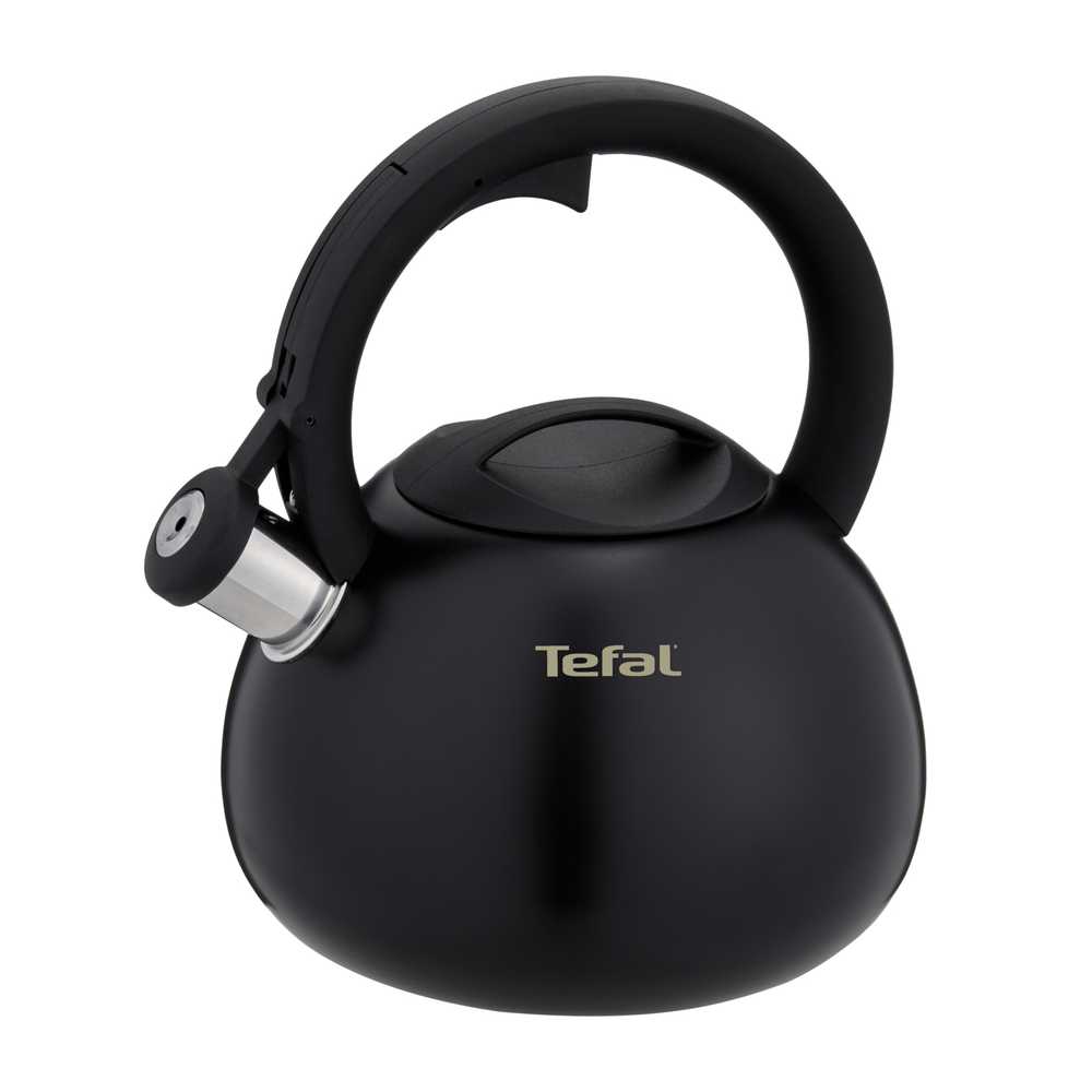 Чайник для плиты Tefal Intuition 2.5 л N4180417