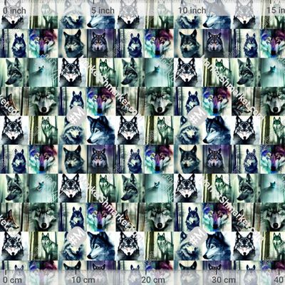 Коллаж Волк by LalaChandra Art 313 DPI