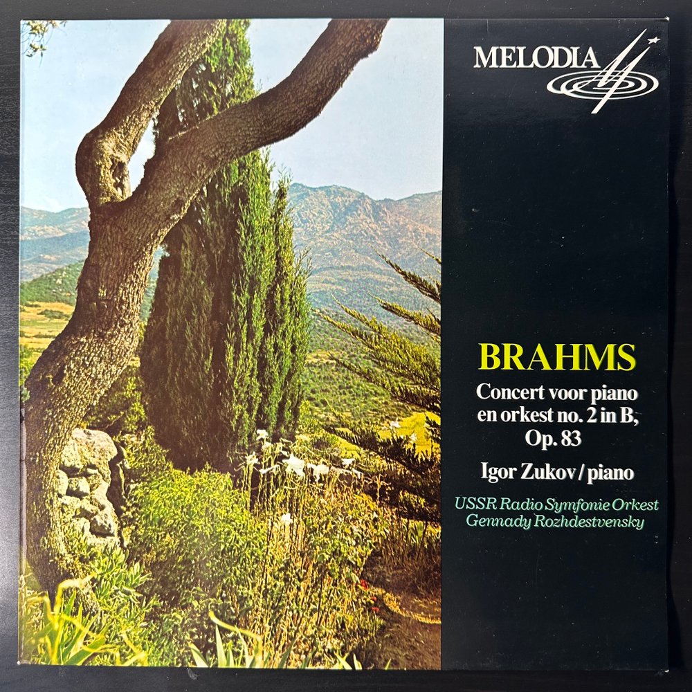Брамс - Концерт для Фортепиано с оркестром №2 (Голландия)