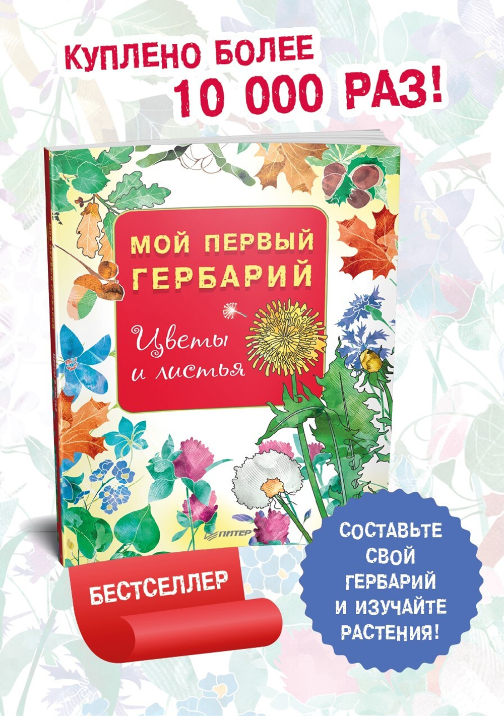 Мой первый гербарий. Цветы и листья
