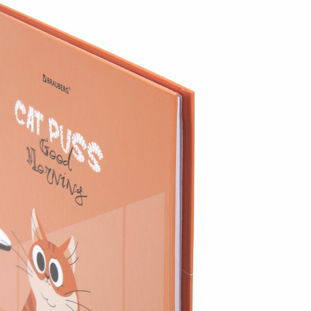 Дневник 1-11 класс 40 л. твердый BRAUBERG глянцевая ламинация "Cute cat" (6 штук в упаковке)