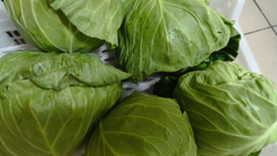 Свежие овощи и фрукты