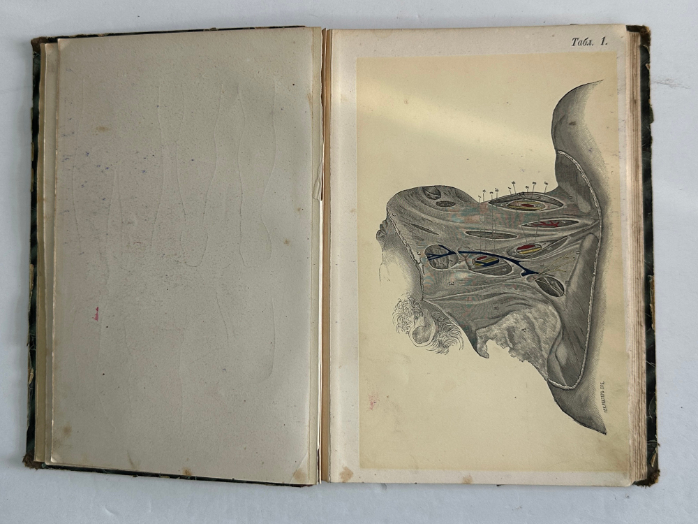 Пирогов Н. Атлас "Анатомия артериальных стволов и фиброзных фасций", 1837г. Дерпт, 54 л. цв. таб.