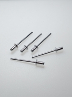 3,2х6 заклепка вытяж.комбинир. (1000 шт.)