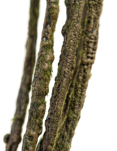 Лоза ветки декоративные (связка 6 шт.)