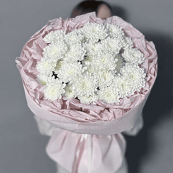 Букет из 5 кустовых хризантем