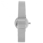 Женские наручные часы Skagen SKW2667