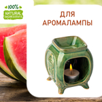 Арбуз, отдушка для свечей и мыла