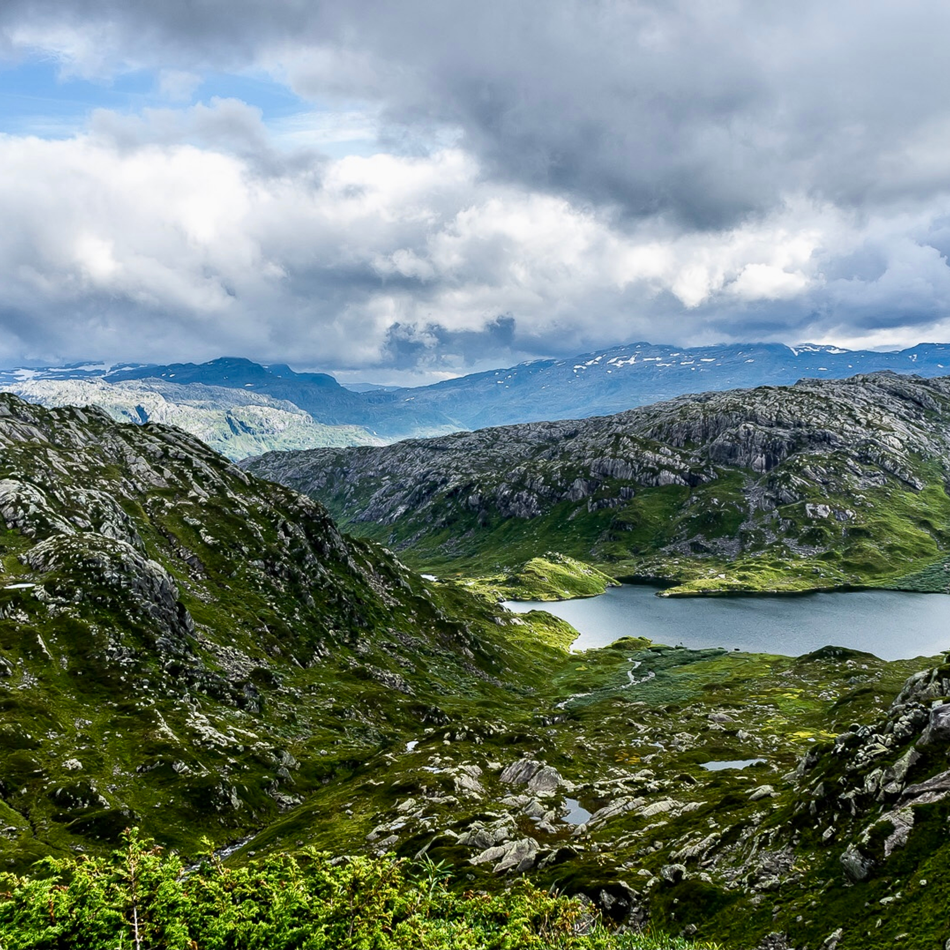 Создайте уникальный интерьер с ART.B.COMPANY — с нашими декоративными покрытиями.