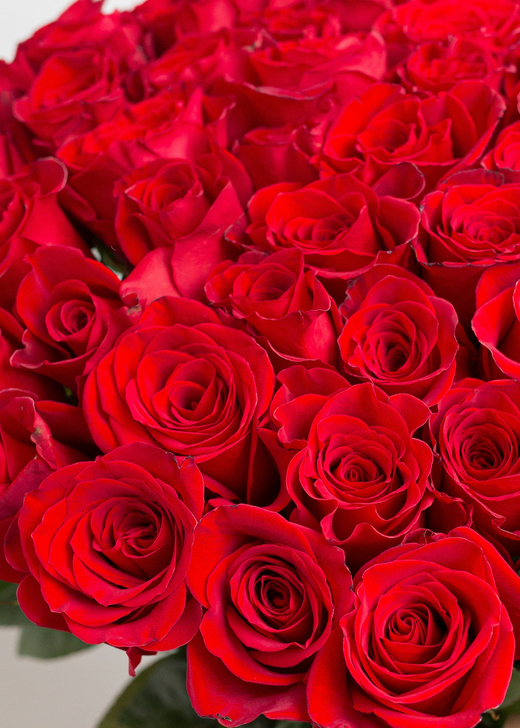 Букет из красных роз #51