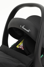 Коляска Carrello Alfa CRL-6522 2025 Ammonite AY329 Pro Absolute Black с базой Isofix 4 в 1 Meadow Green